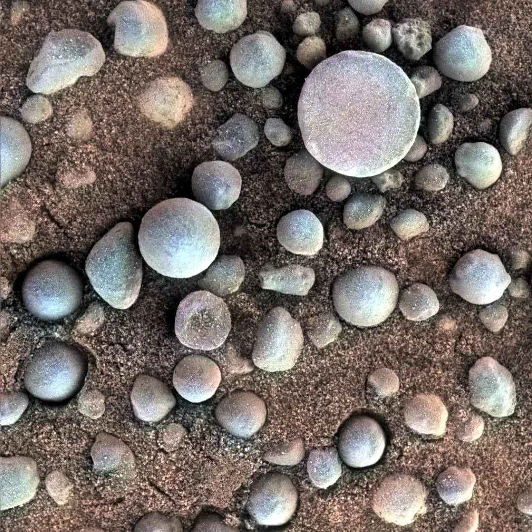 The so called Martian blueberries (NASA/JPL-Caltech/Cornell/USGS)