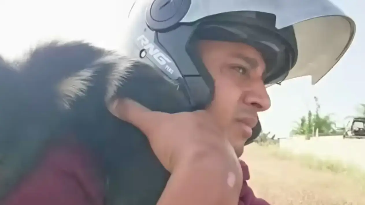 The influencer insists he didn't kill the dog, saying it was already dead when he skinned and ate it (Ayoub Ben Nesnes/Youtube)