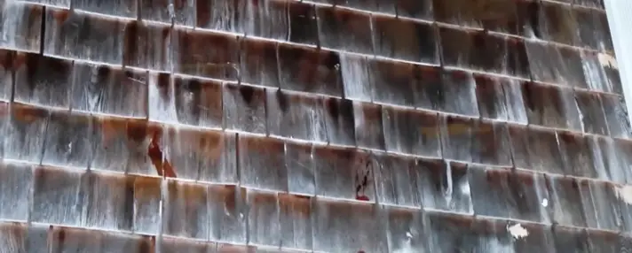 Red marks on the outside walls were seen in police footage (CourtTV)