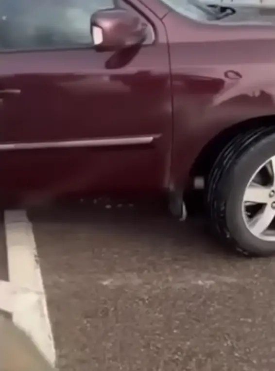 Dr G highlighted Renee's tyres were pointing left so she was preparing to leave (Alpha News)