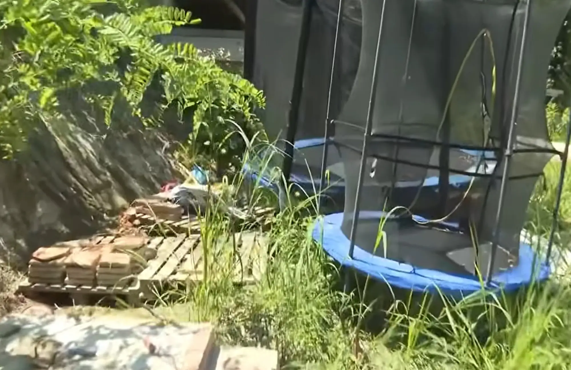 Police came to warn the family about a flood, they found a boy and girl who'd had no contact with the outside world (Newsflash)