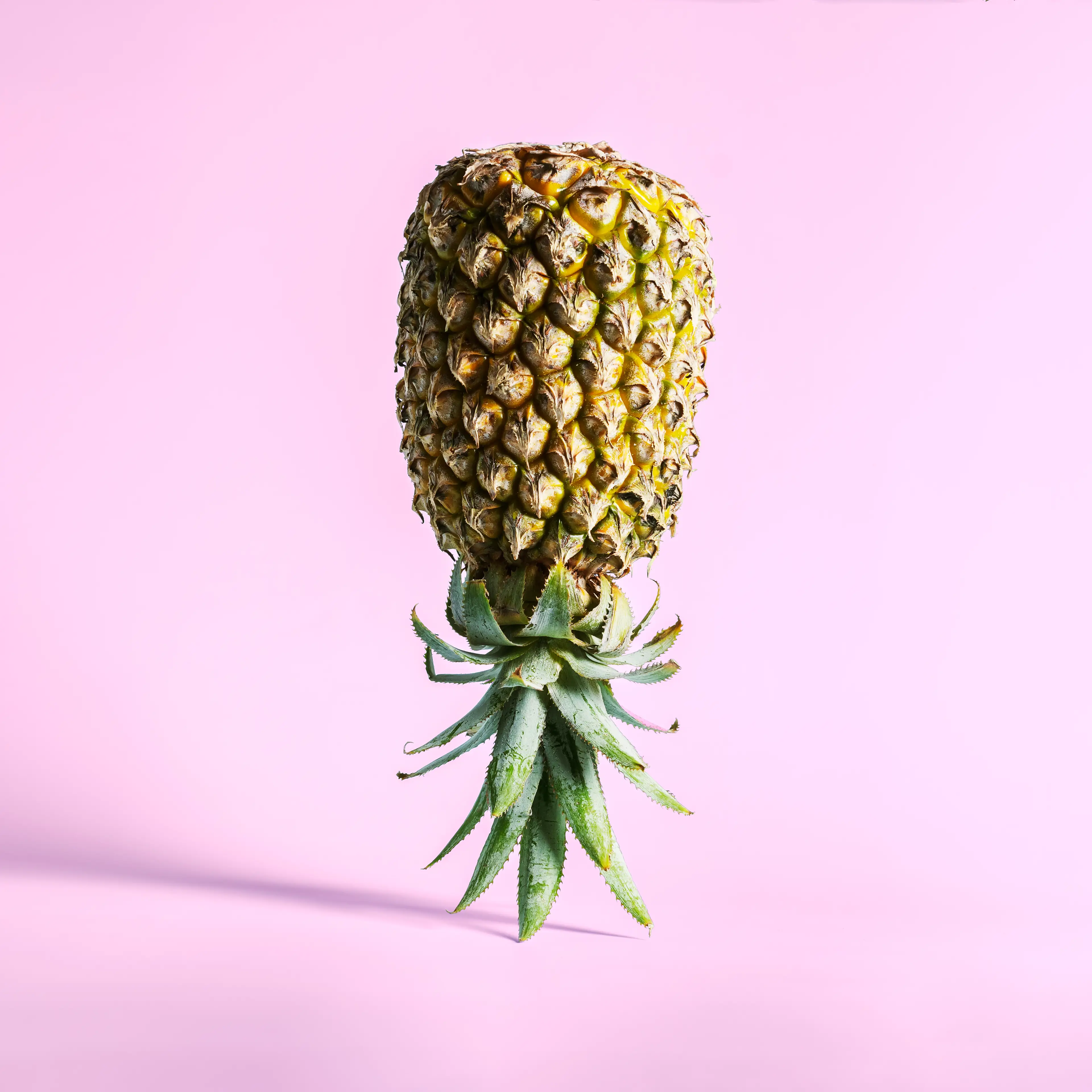 Pineapples might attract more attention than you bargained for on your cruise (Getty Stock Images)