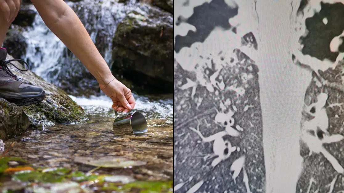 Getty Stock Photo/GoFundMe