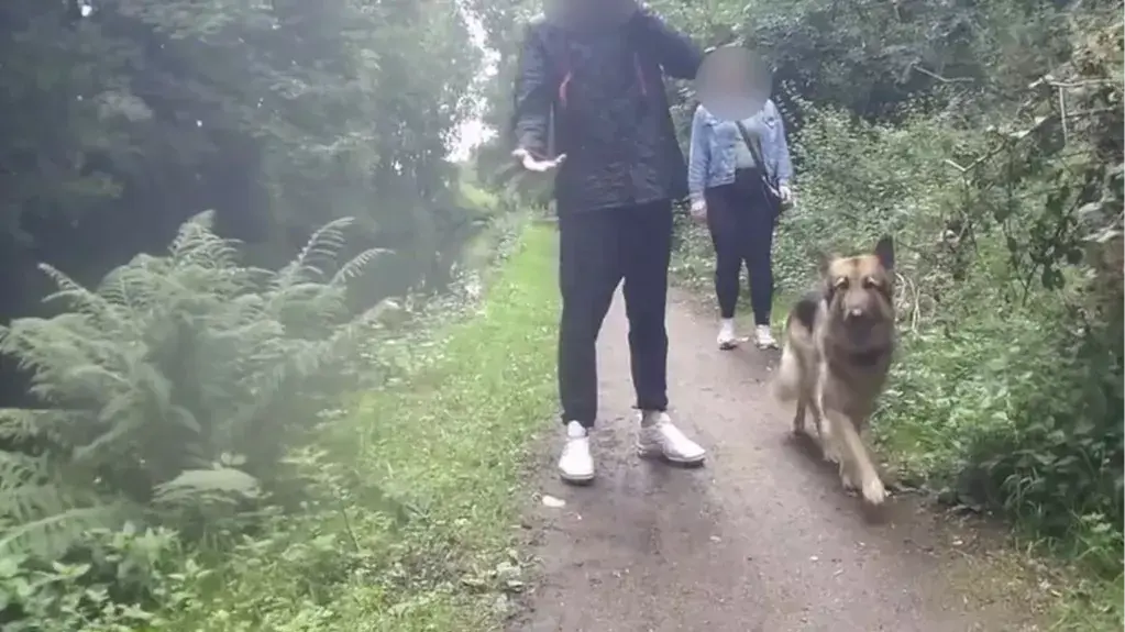 Kennedy News and Media