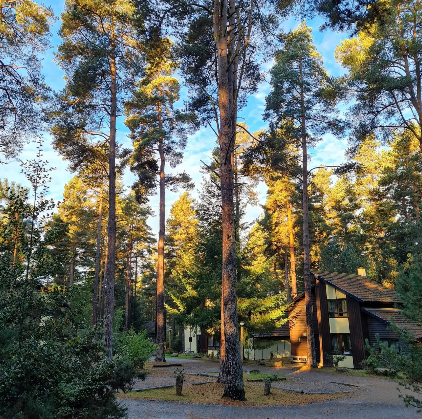 Center Parcs is a popular spot for families in the school holidays (Center Parcs)