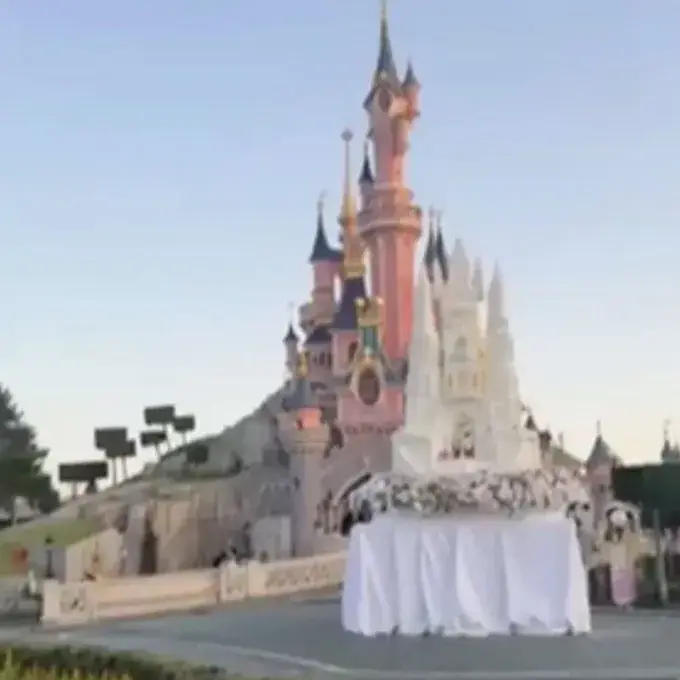 The mock wedding reportedly unfolded in front of the theme park's Sleeping Beauty castle (BFM TV)
