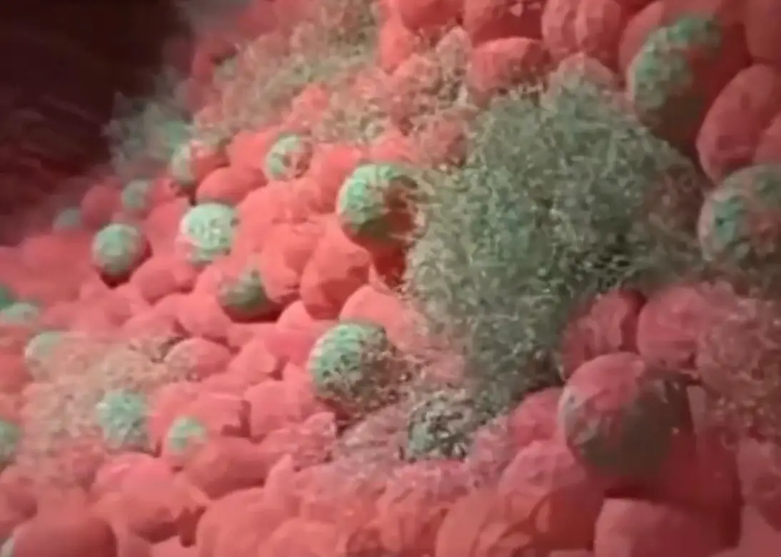 The actor explained that fasting helps starve out the 'zombie cells' which cause us to age (Disney Plus)