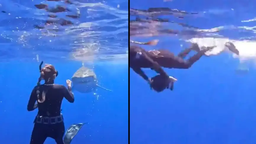 TikTok/@mermaid.kayleigh