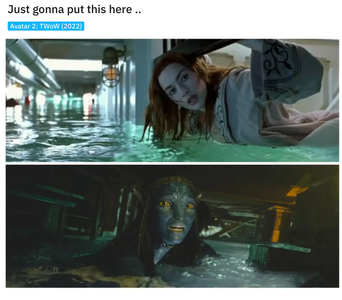 People are comparing the Avatar sequel to Titanic.