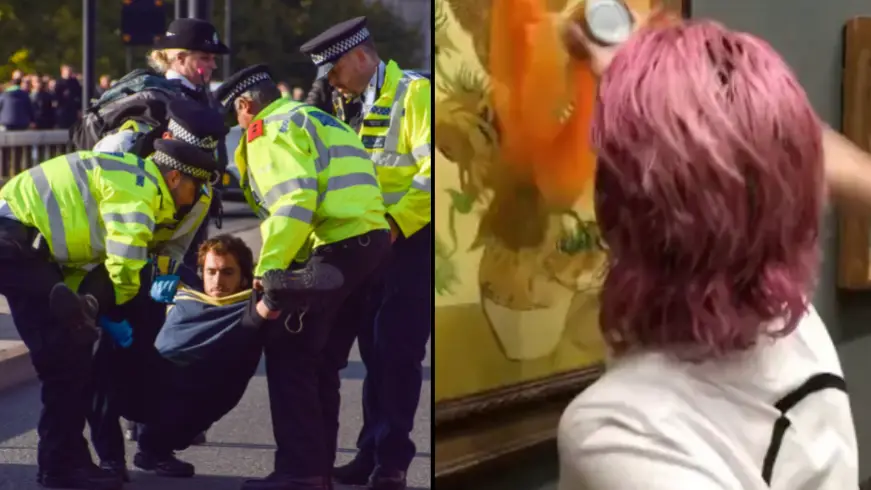 Vuk Valcic / Alamy. Allen Creative / Steve Allen / Alamy.