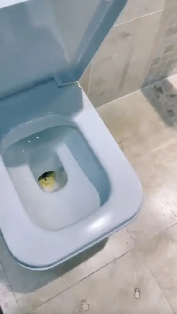 What a pleasant display.