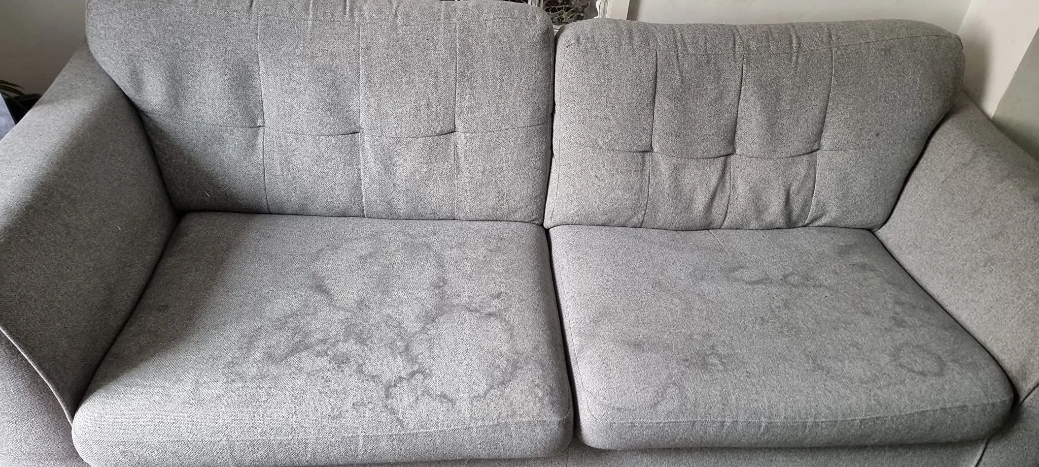 Before using the Vax SpotWash (Amazon reviews)