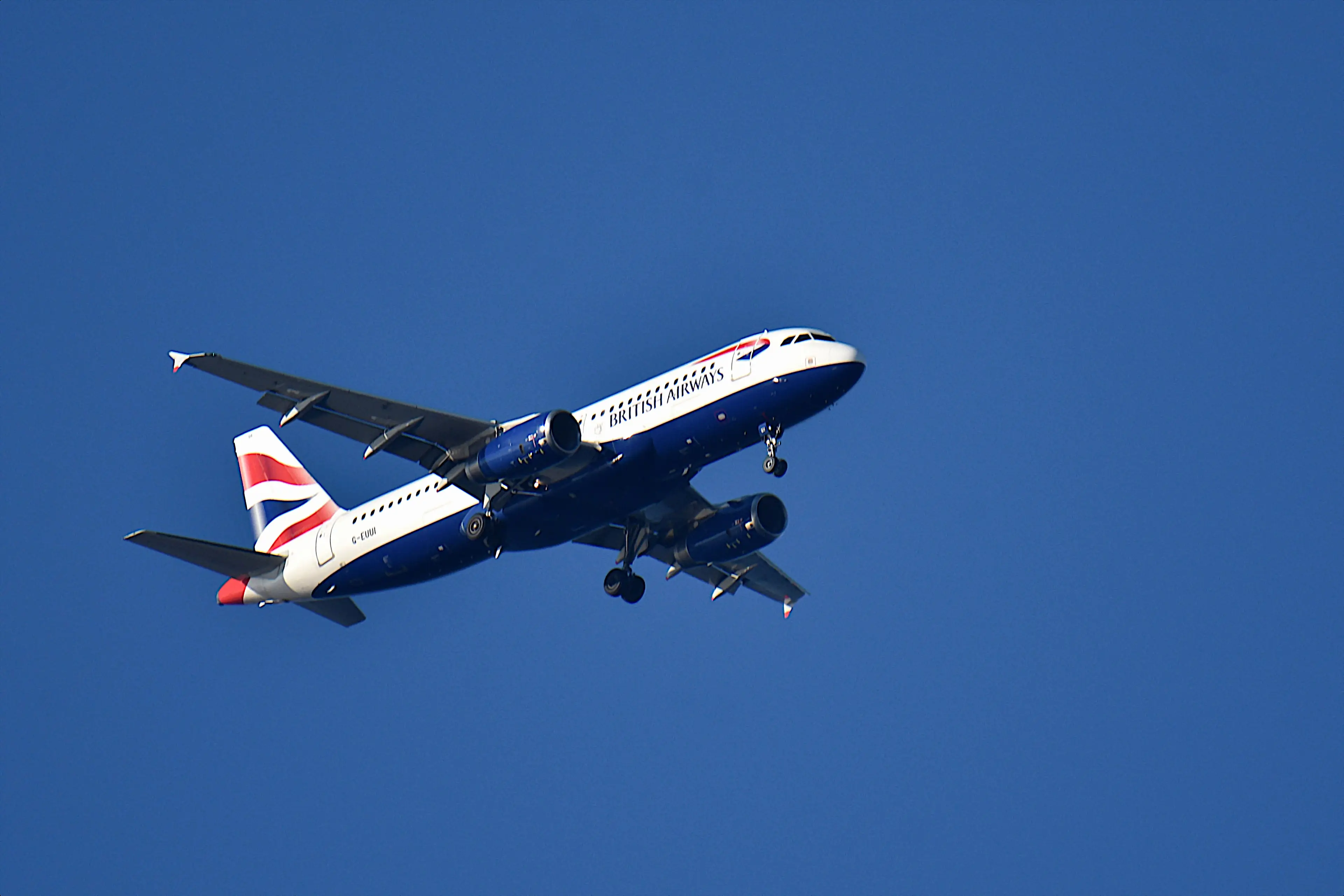 Flight crew and paramedics unsuccessfully attempted to revive the woman.