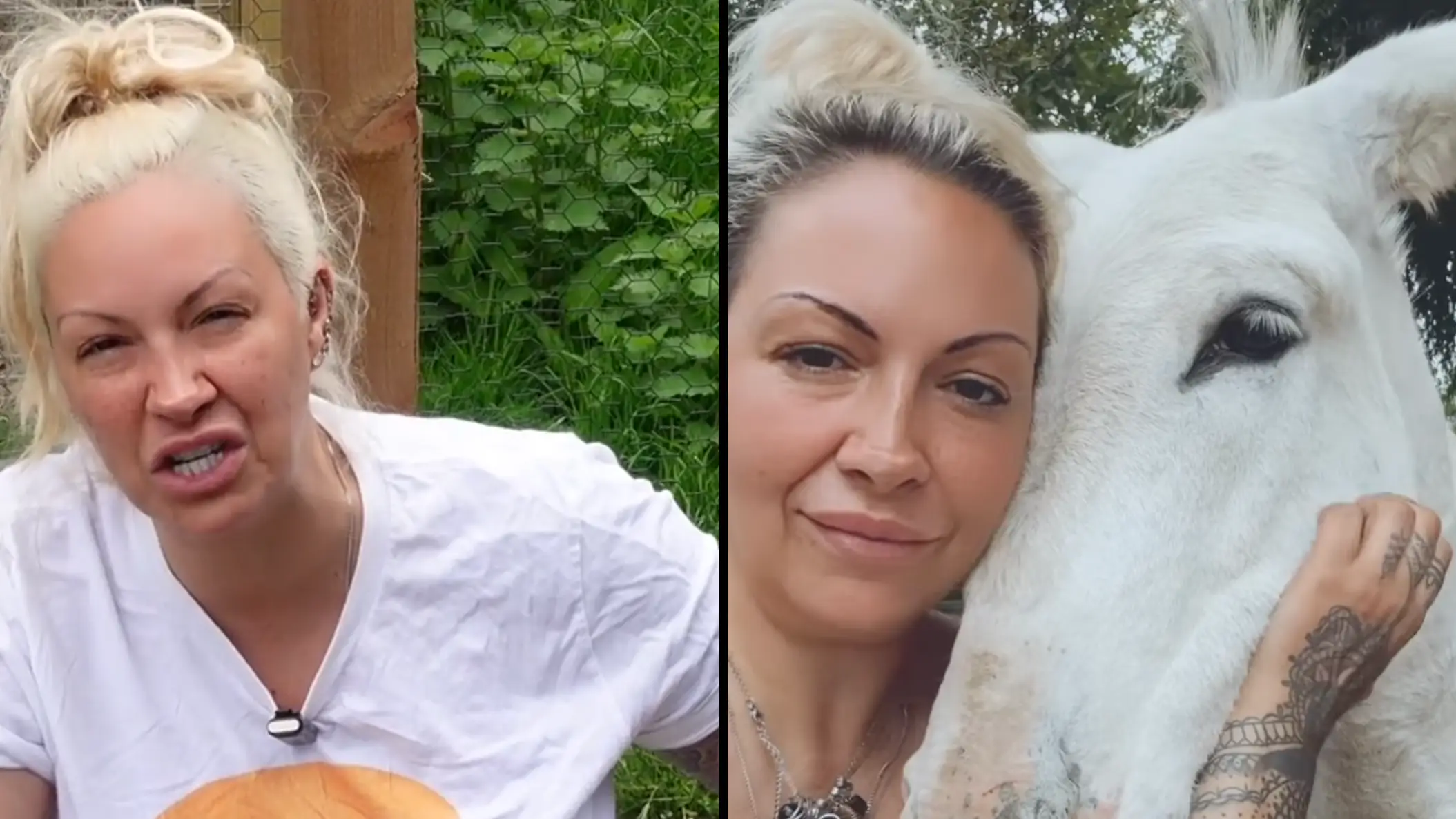 TikTok/nineteen11tv/Instagram/frippsfarm