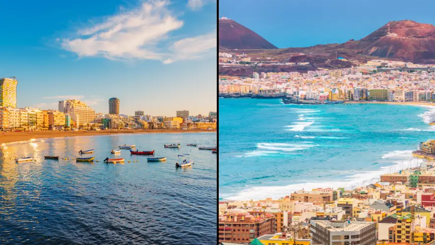 30-year-old woman killed in shark attack off coast of popular British holiday hotspot