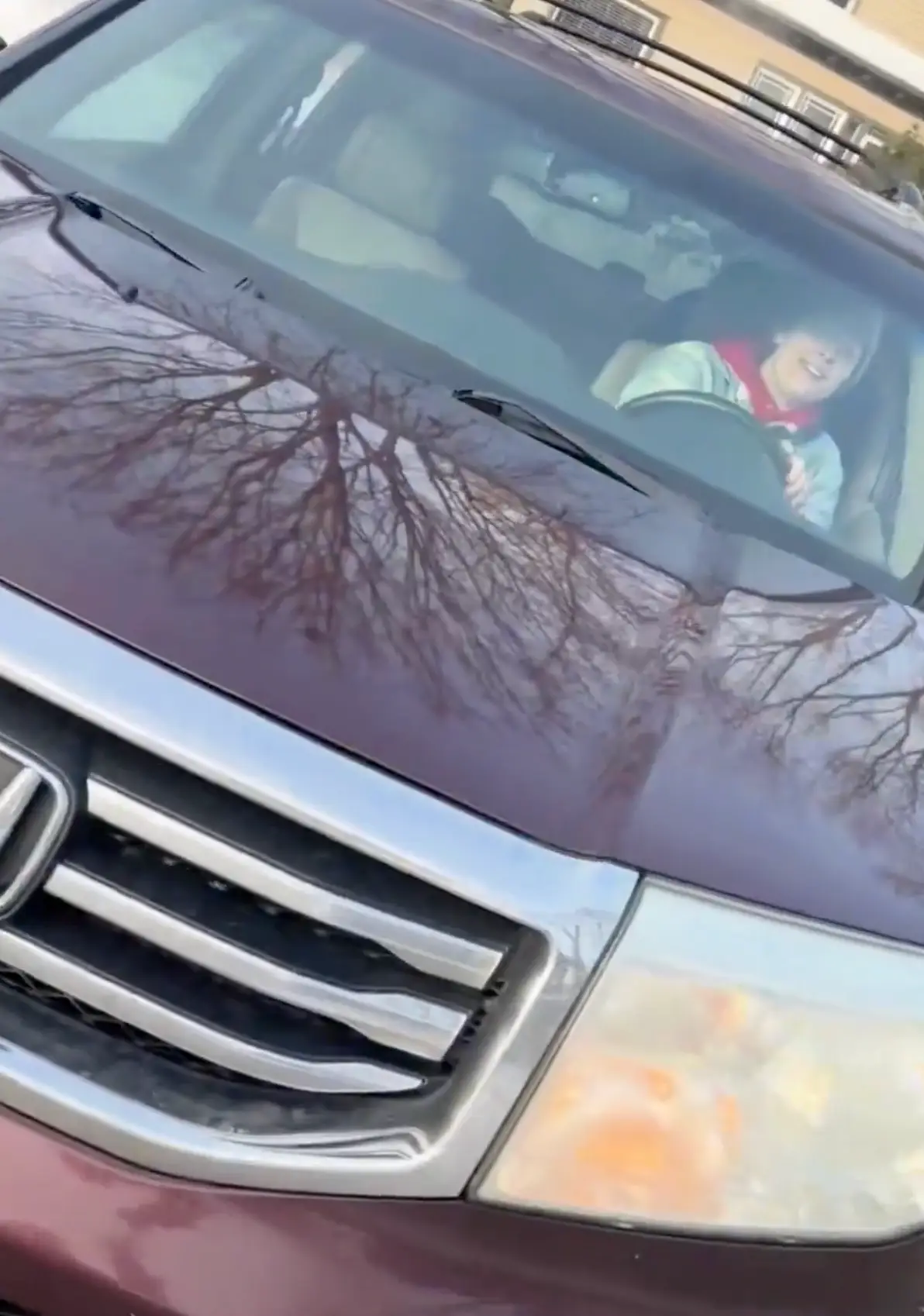 Ackman claims that he was simply giving Ross funding to pay for legal fees (Alpha News)