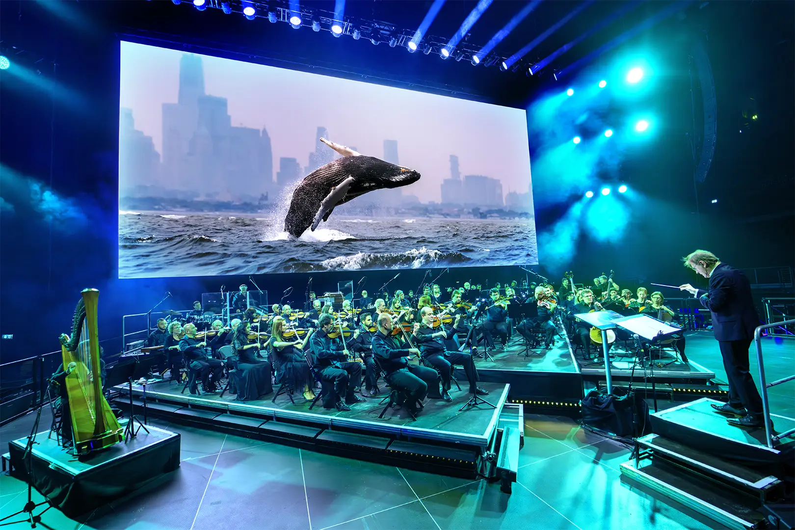Blue Planet III will bring the series to life on a screen approximately the size of a tennis court (Photo credit: BBC Studios)