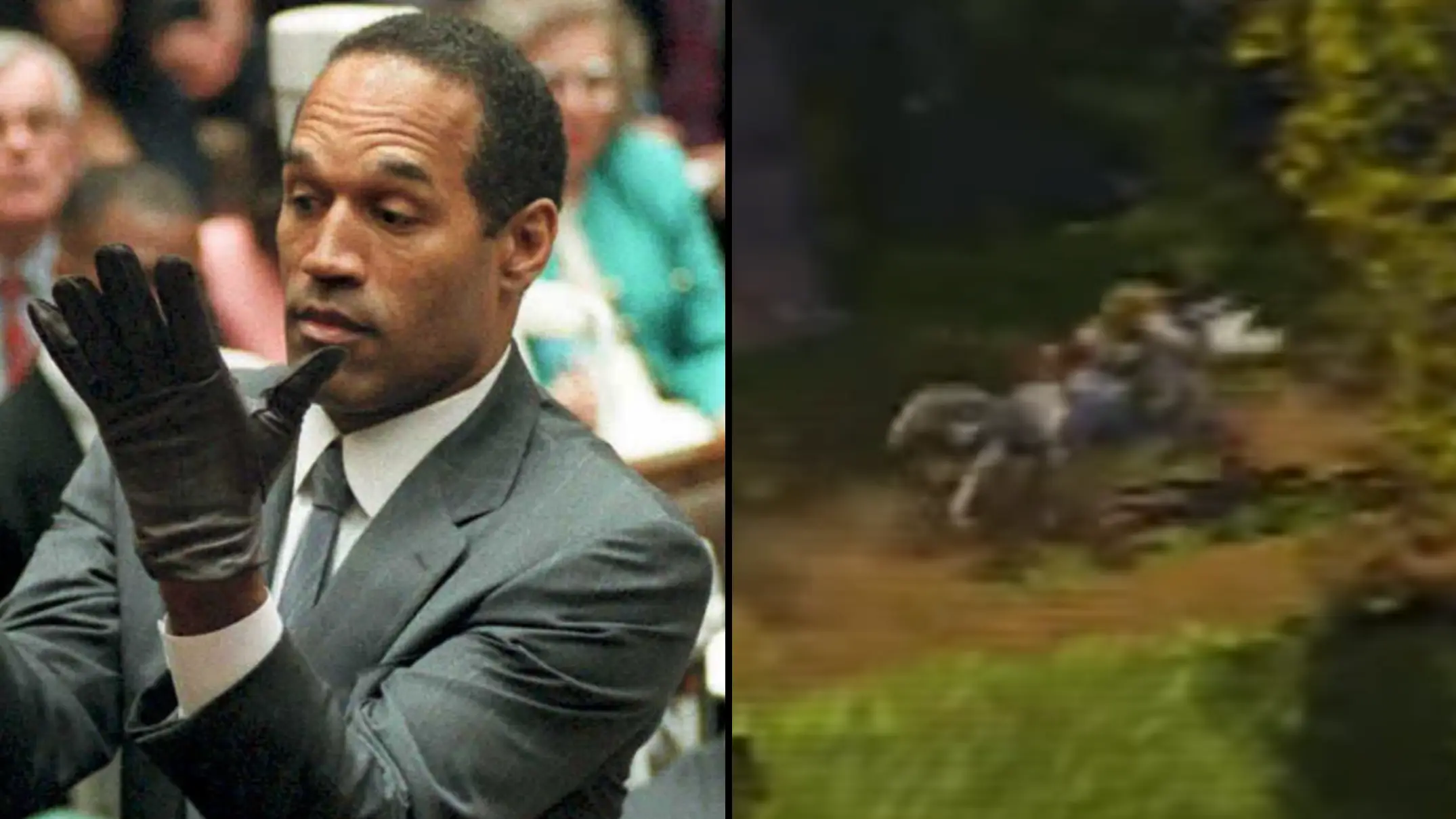 VINCE BUCCI/AFP via Getty Images/Dreamworks