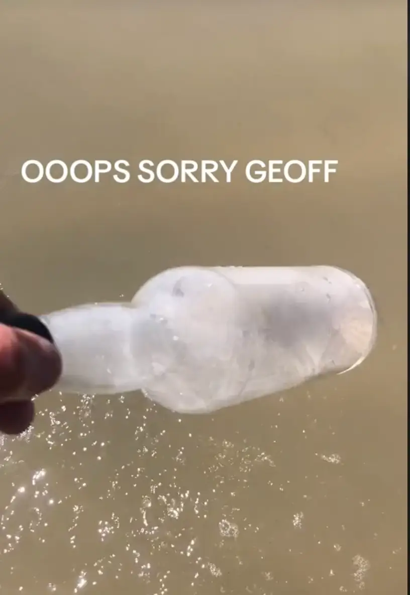 They filmed the bottle coming into shore.