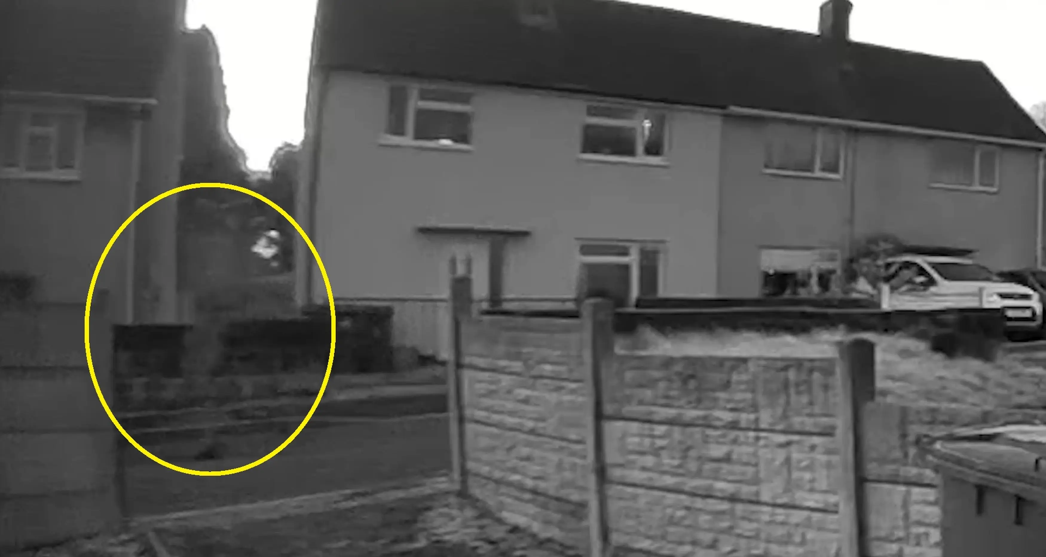 Both women are stumped on what the figure really was (Kennedy)