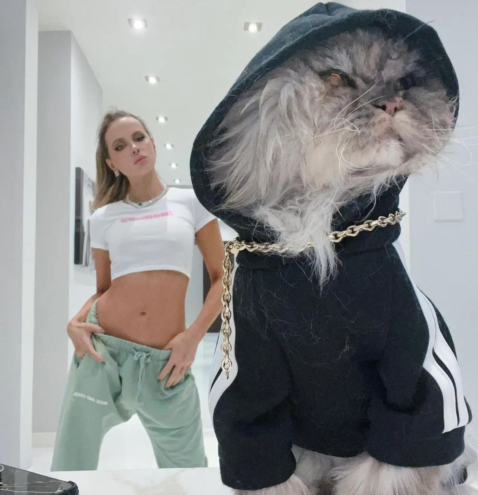 The actress has been open about her battle with grief since losing her beloved cat Clive last year (Instagram/@katebeckinsale)