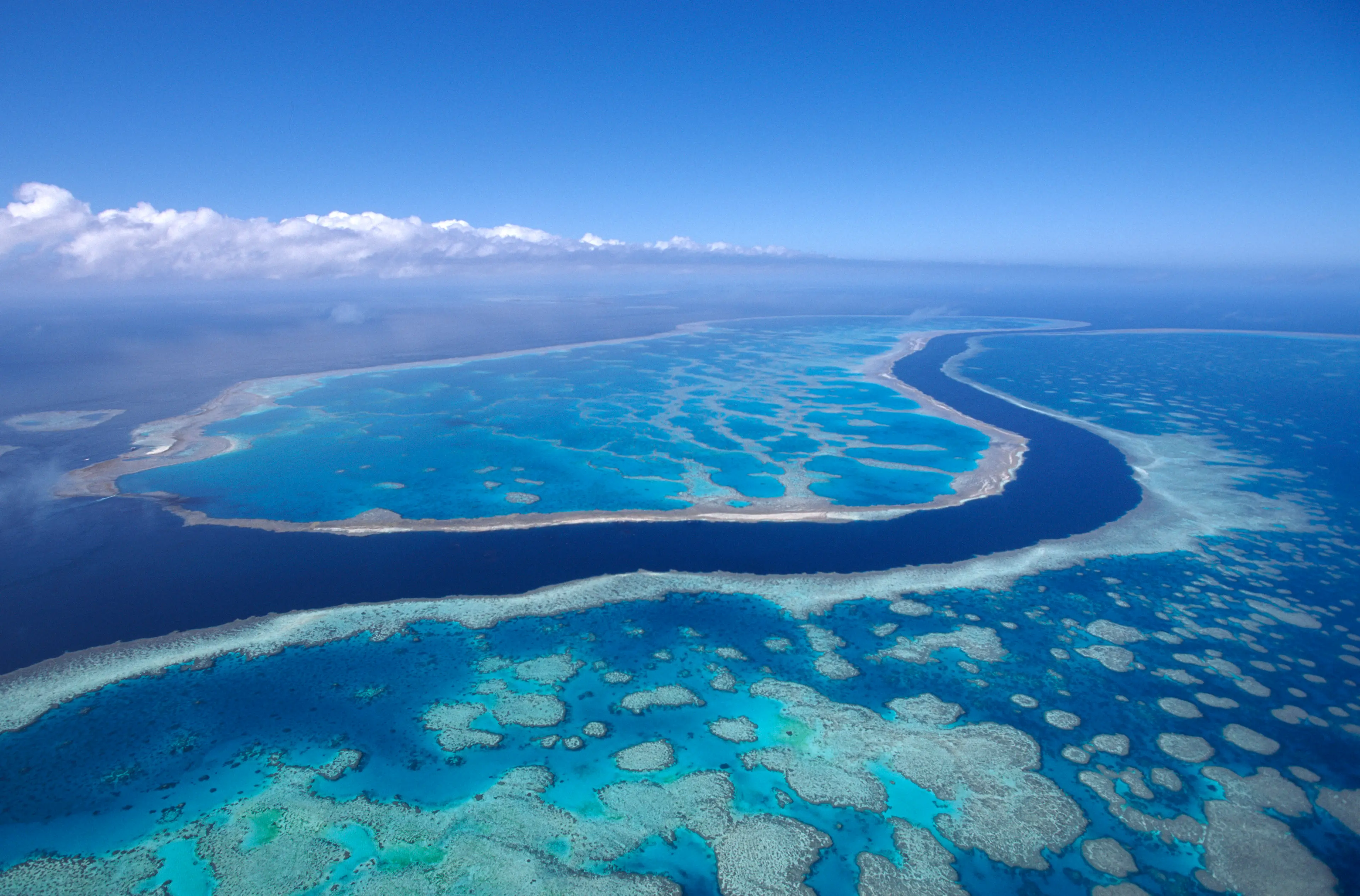 The Great Barrier Reef can be seen from space (Getty Stock Images)