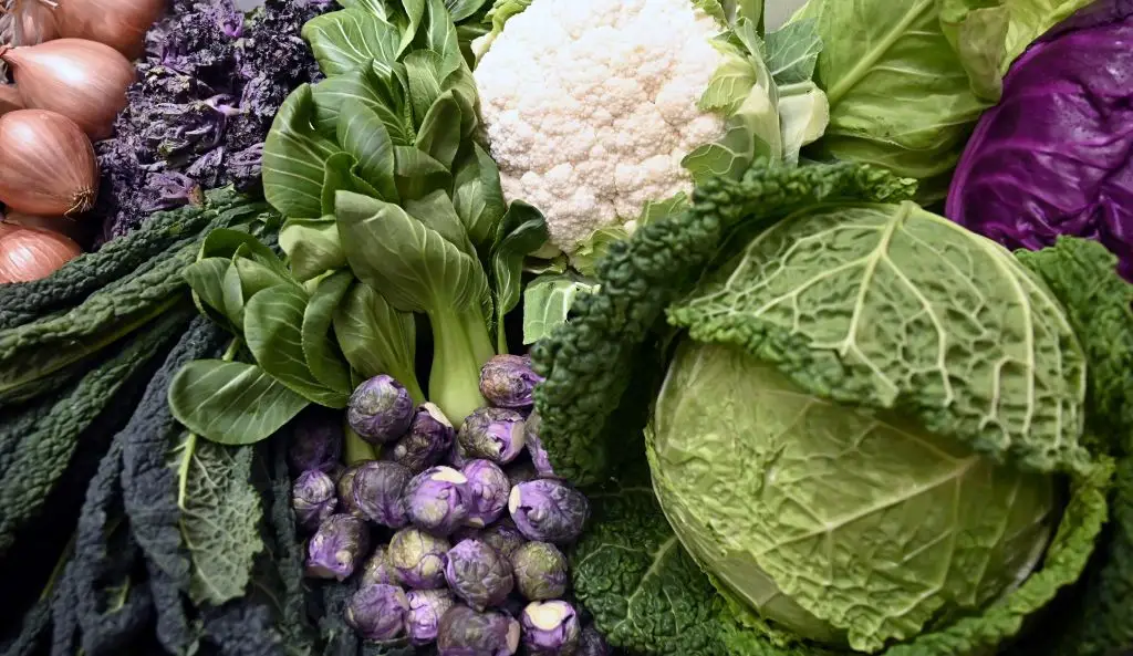 Eat your cruciferous vegetables, kids (TOBIAS SCHWARZ/AFP via Getty Images)