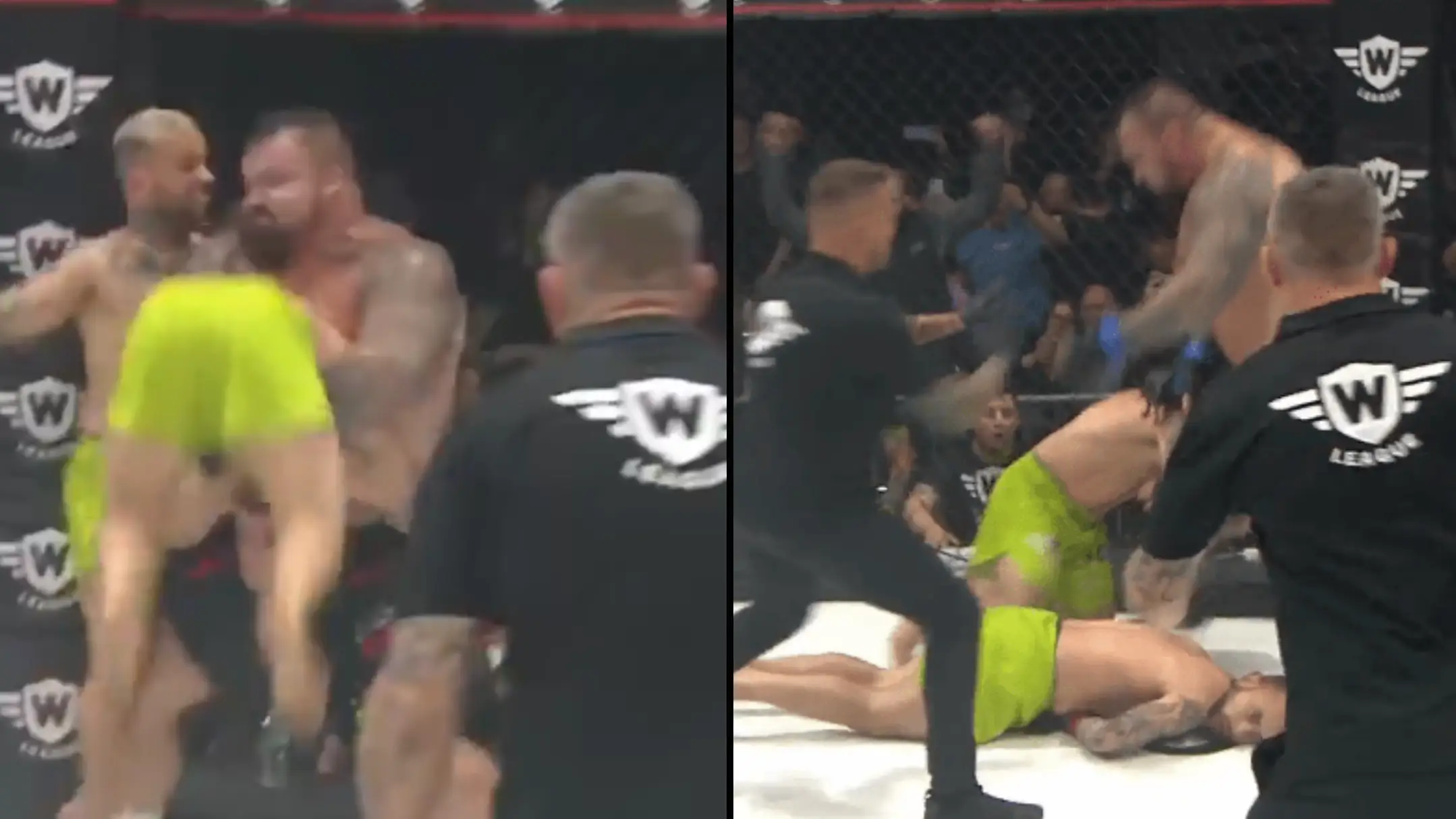 World Freak Fight League