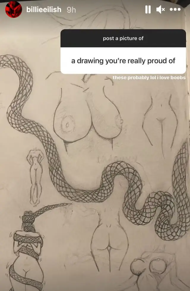 Billie Eilish shared some NSFW drawings (Instagram/@billieeilish)