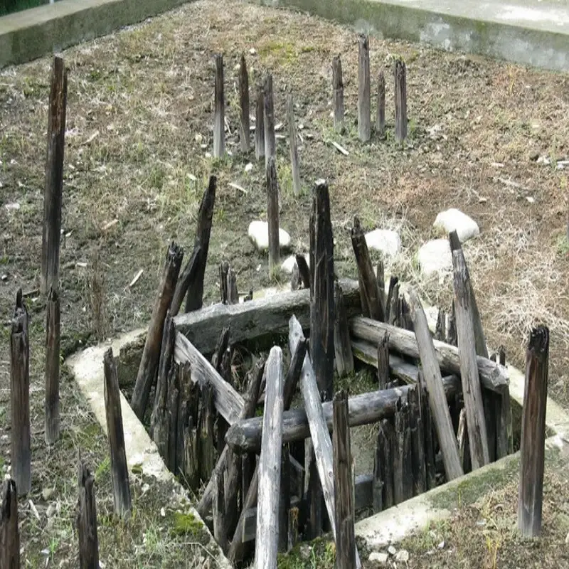 An insight in to the past (NewHanfu)