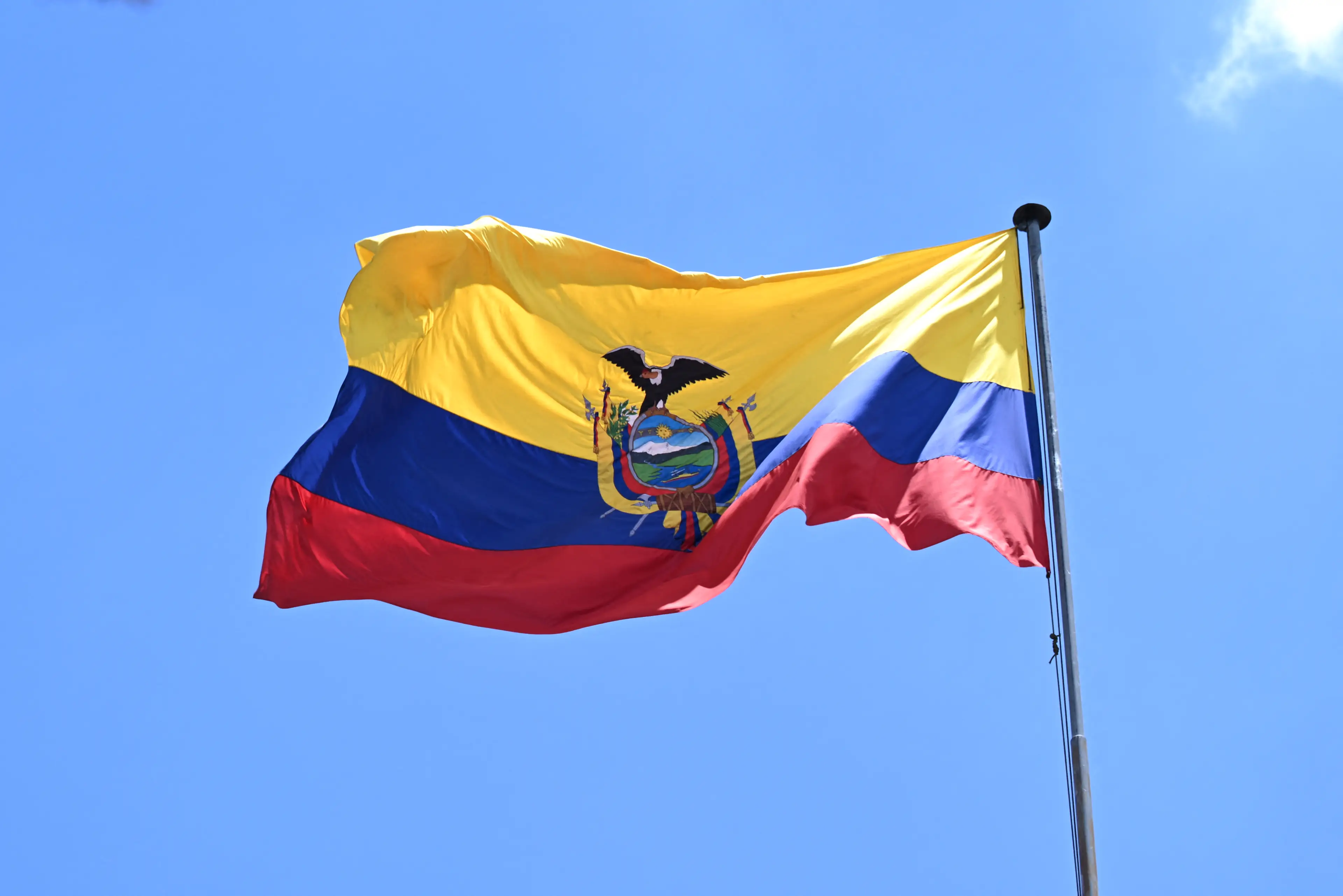 Ecuadorean police said they didn't have enough officers to stop the mob (LUIS ACOSTA/AFP via Getty Images)