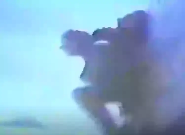 He dropped over 10,000 feet to the ground and died on impact (X/@Morbidful)