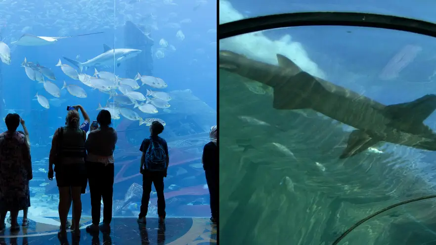 Andrew Aitchison / In pictures / Tim Chapman/Liaison/ Getty Images