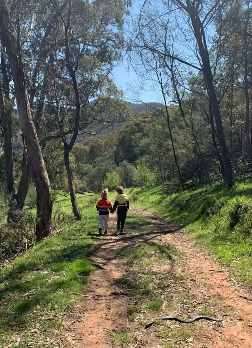 Can you see it? (Snake Catcher Victoria Australia)