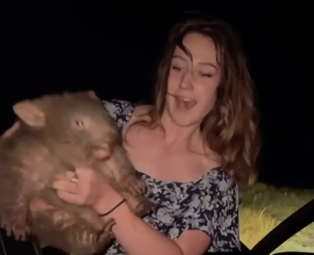 Sam Jones has claimed she picked up the wombat to check it wasn't 'sick or injured' (Instagram/@samstrays_somewhere)