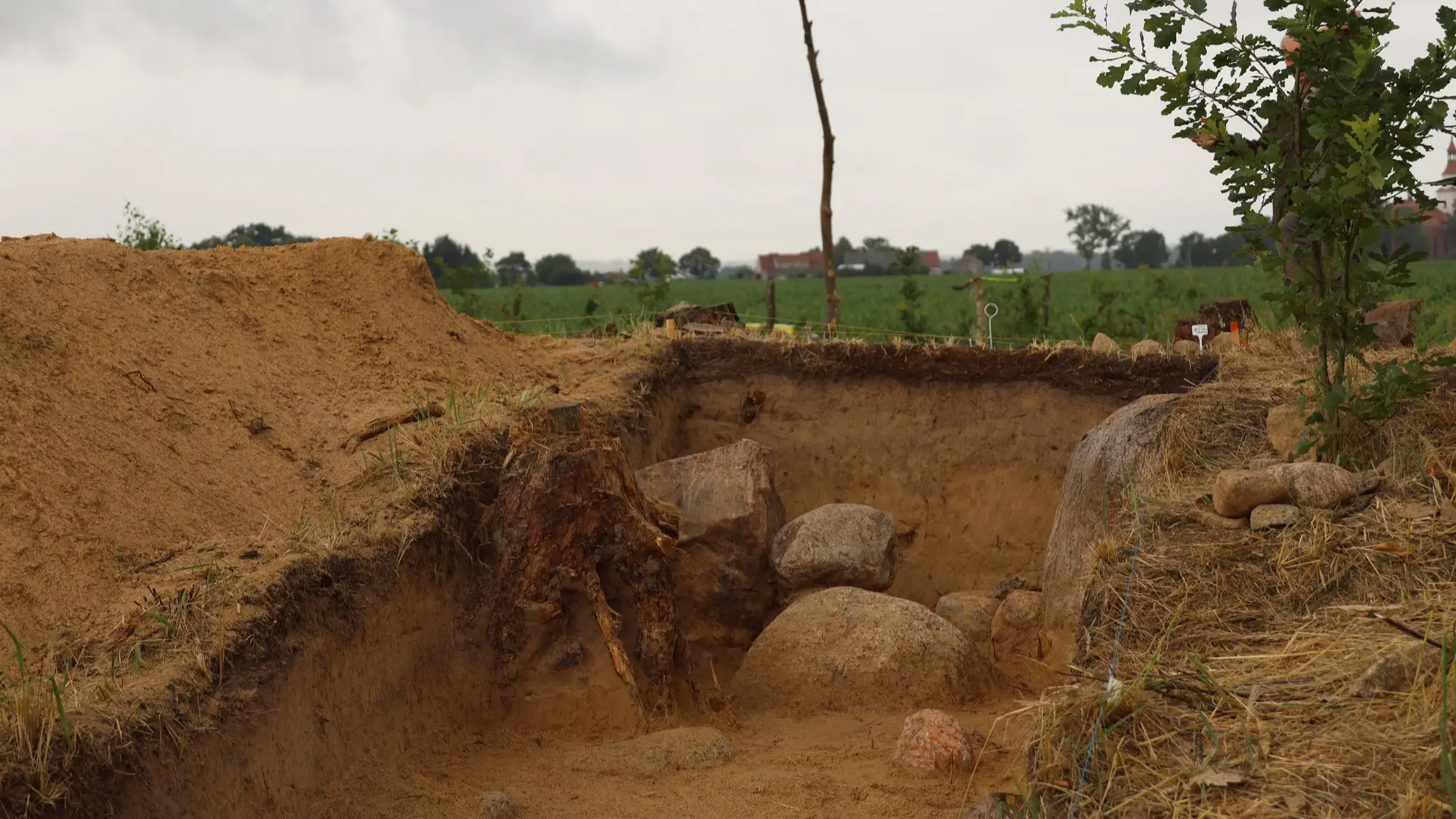 Zespół Parków Krajobrazowych Województwa Wielkopolskiego/Facebook