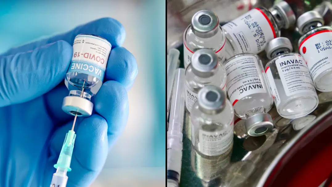 Getty Stock Images/BAY ISMOYO/AFP via Getty Images