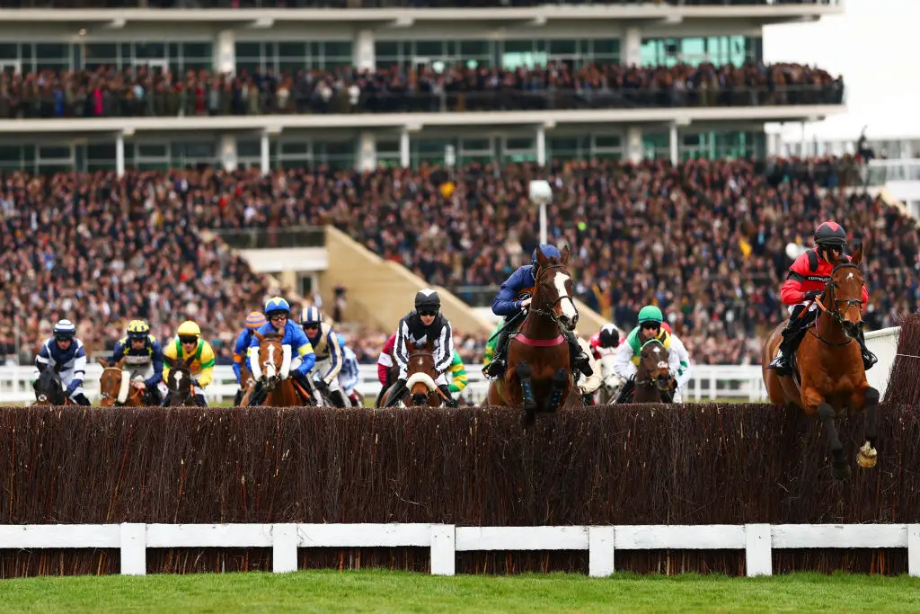 Everyone becomes a horse racing expert in March (Dan Istitene/Getty Images)