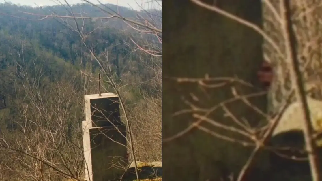 Reddit/Duffy Springfield