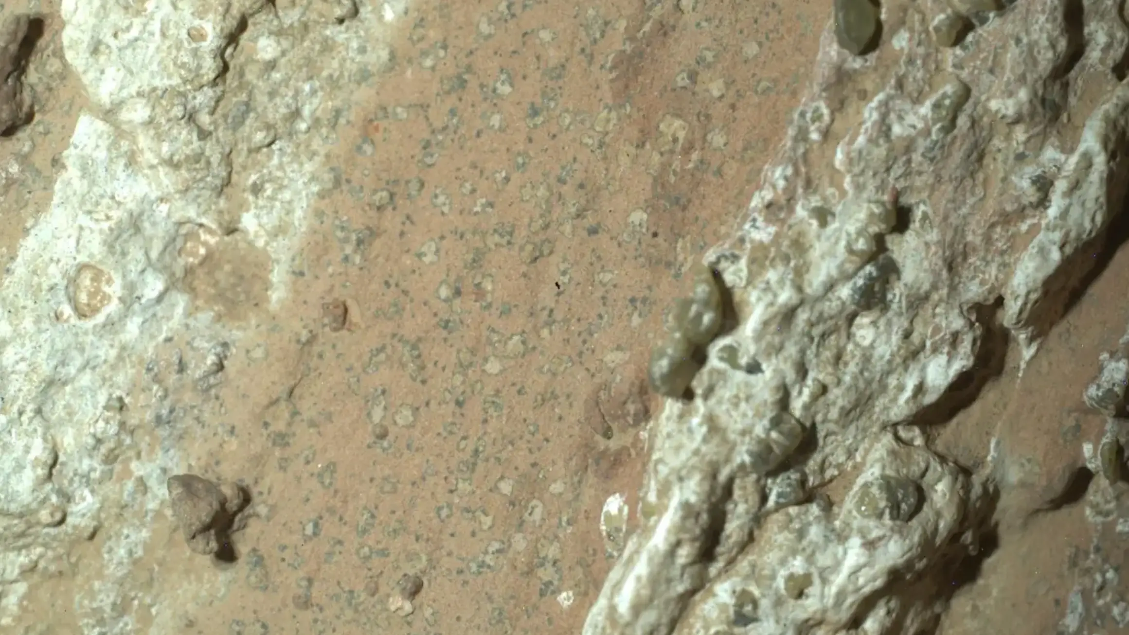 NASA/JPL-Caltech/MSSS