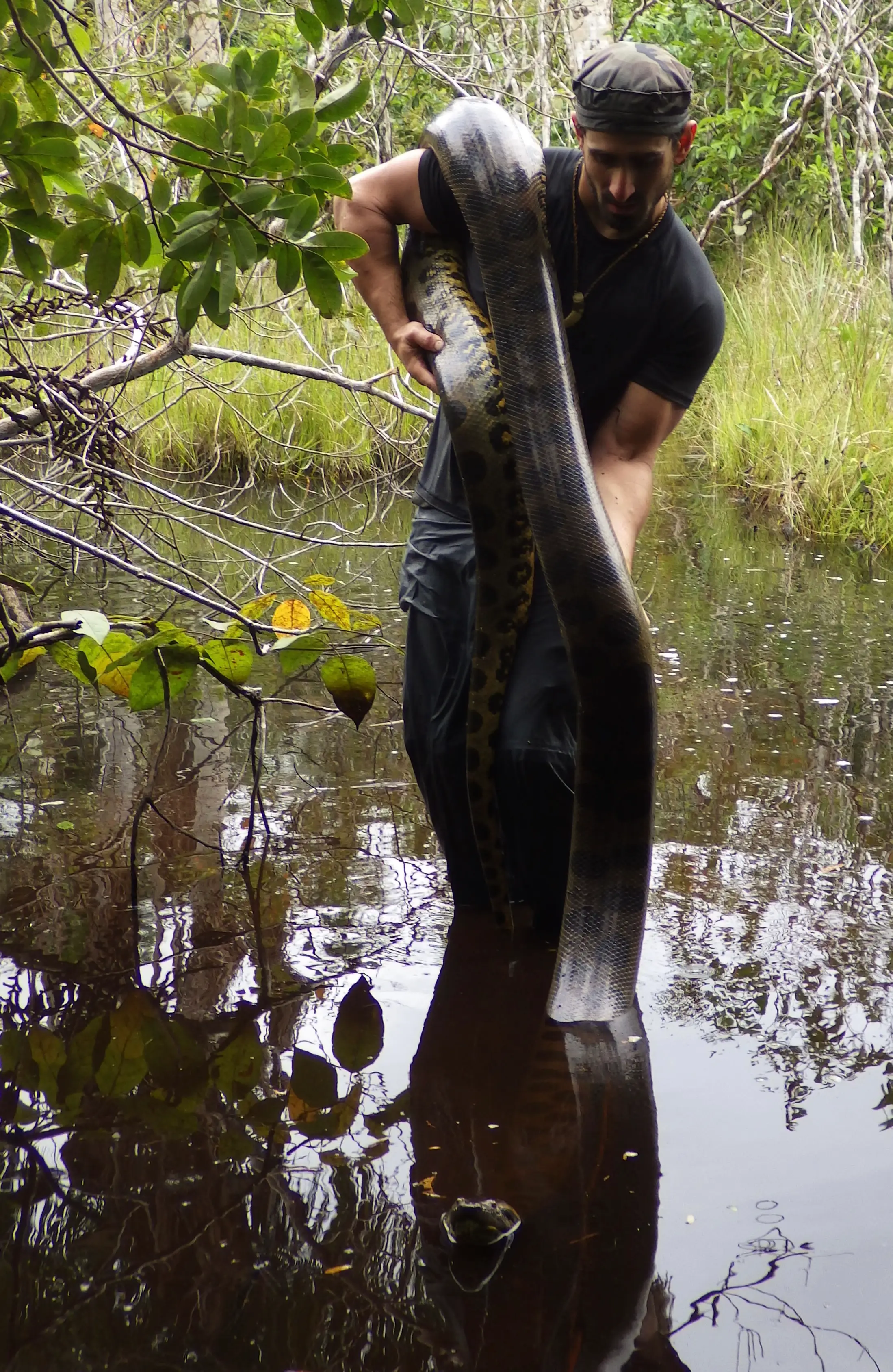 Paul wants to save and preserve the Amazon rainforest. (Paul Rosolie)