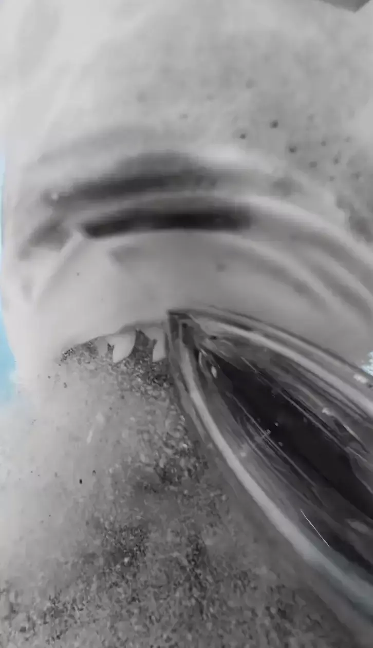 Conservationist and filmmaker filmmaker Zimy Da Kid was out in Maldives when he captured the footage.