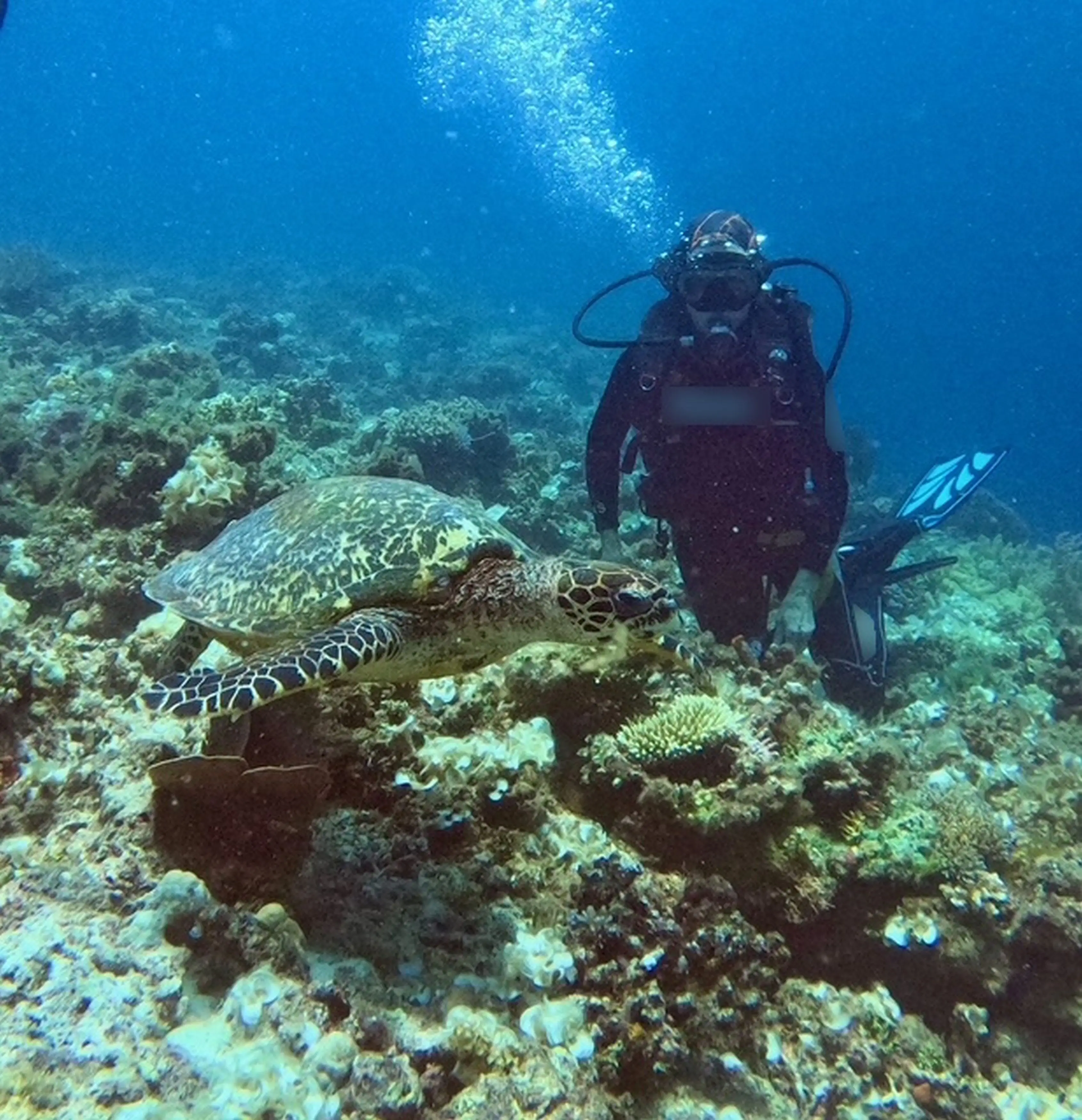 Doctors confirmed she had decompression sickness (Kennedy News and Media)