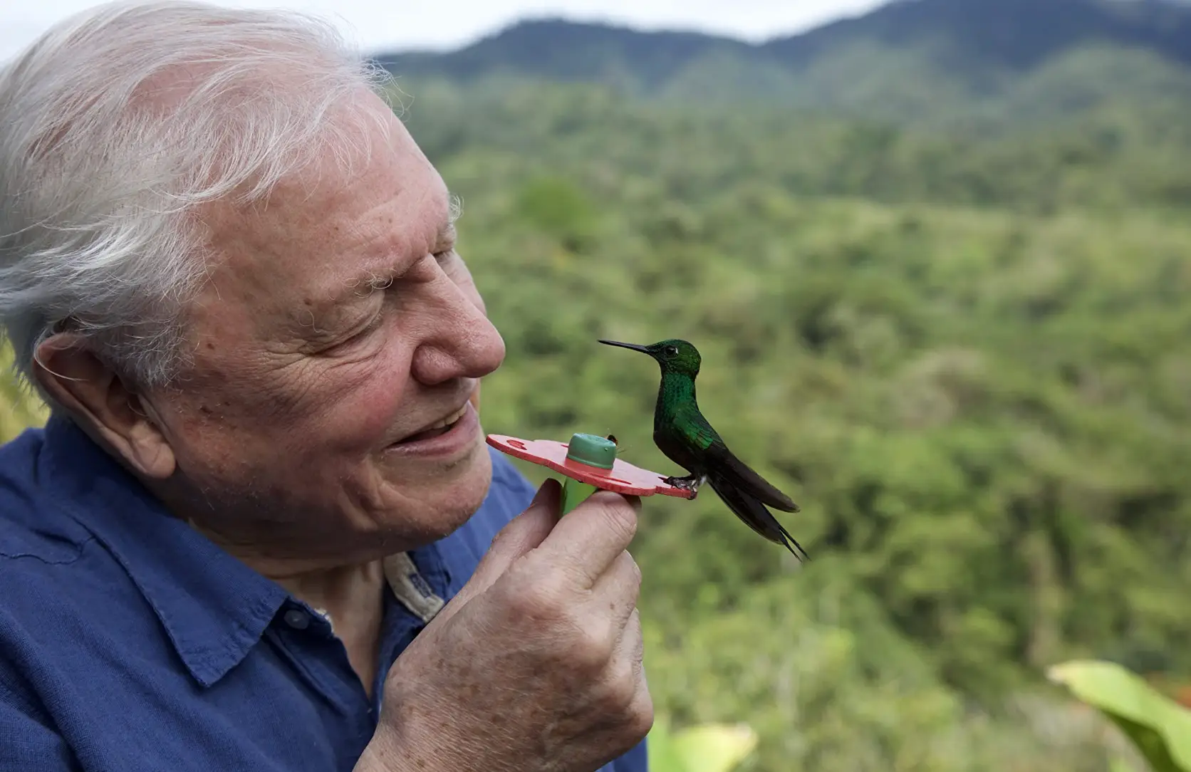 The senior was in a total of 389 minutes of television.