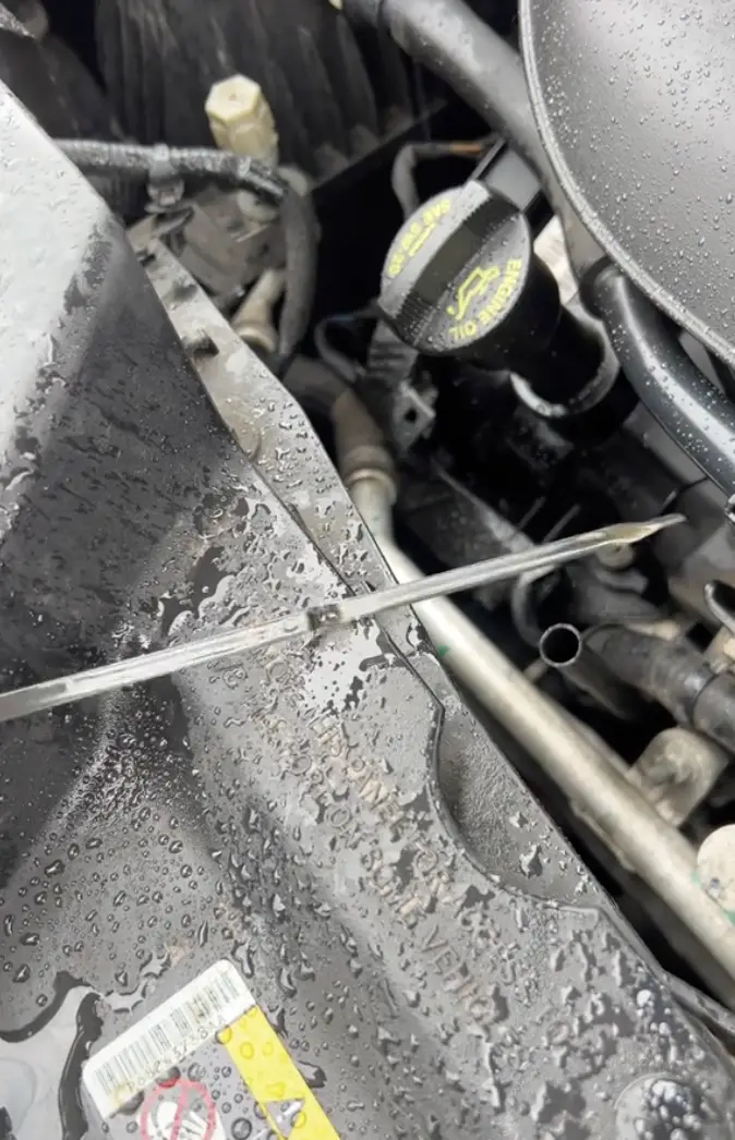 The mechanic says to 'befriend a knowledgable and honest mechanic'. (TikTok/@jackofallbeards)