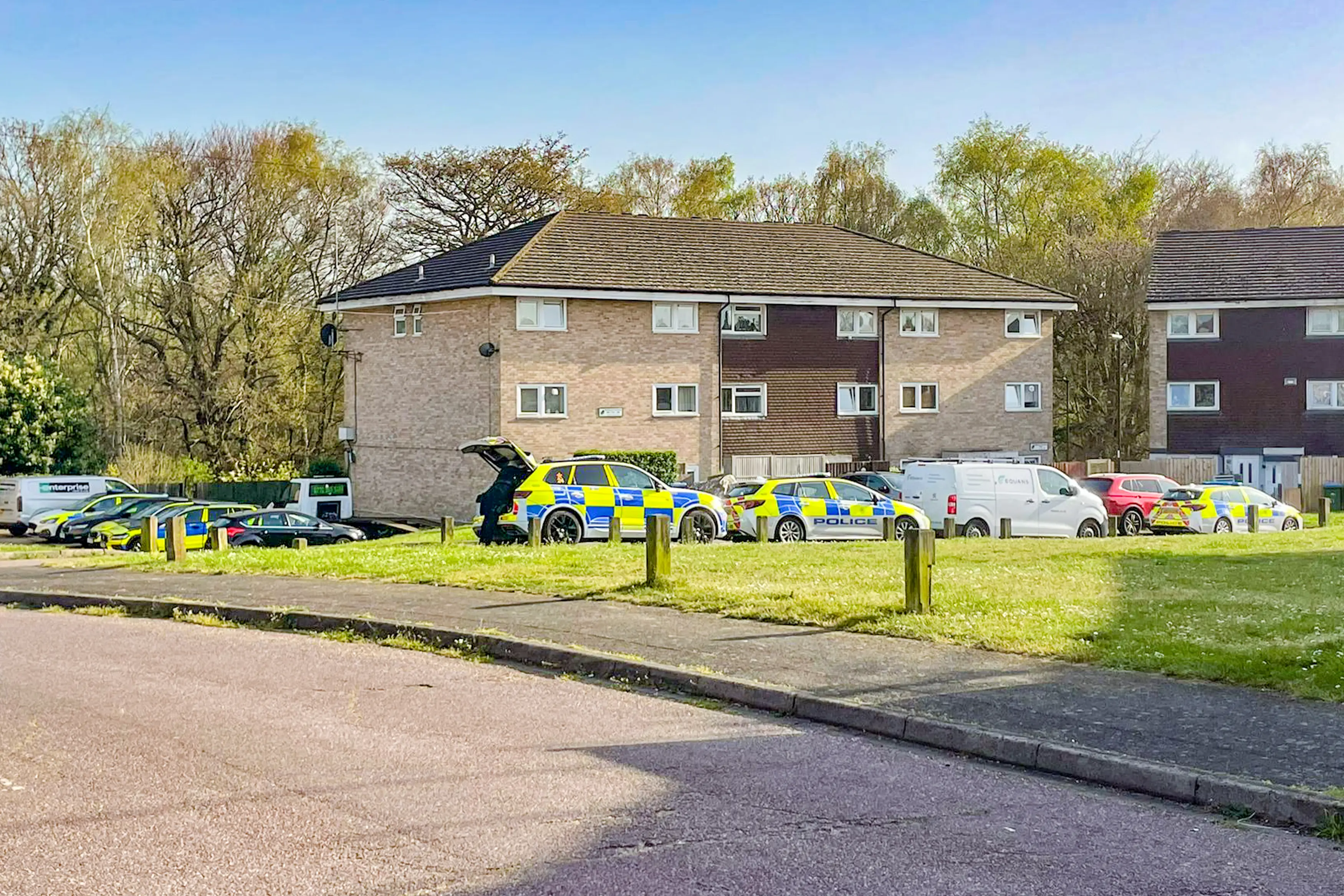 The schoolkids took the gun home, where one of the boys accidentally shot the other (Solent News)