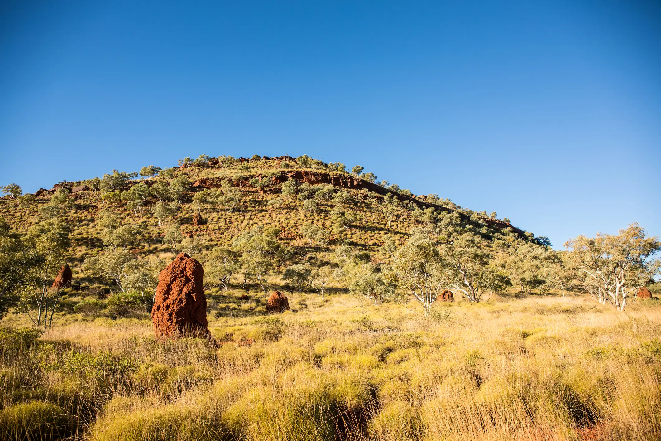 The findings were hidden deep beneath Western Australia’s remote Hamersley region (Getty Stock Image)