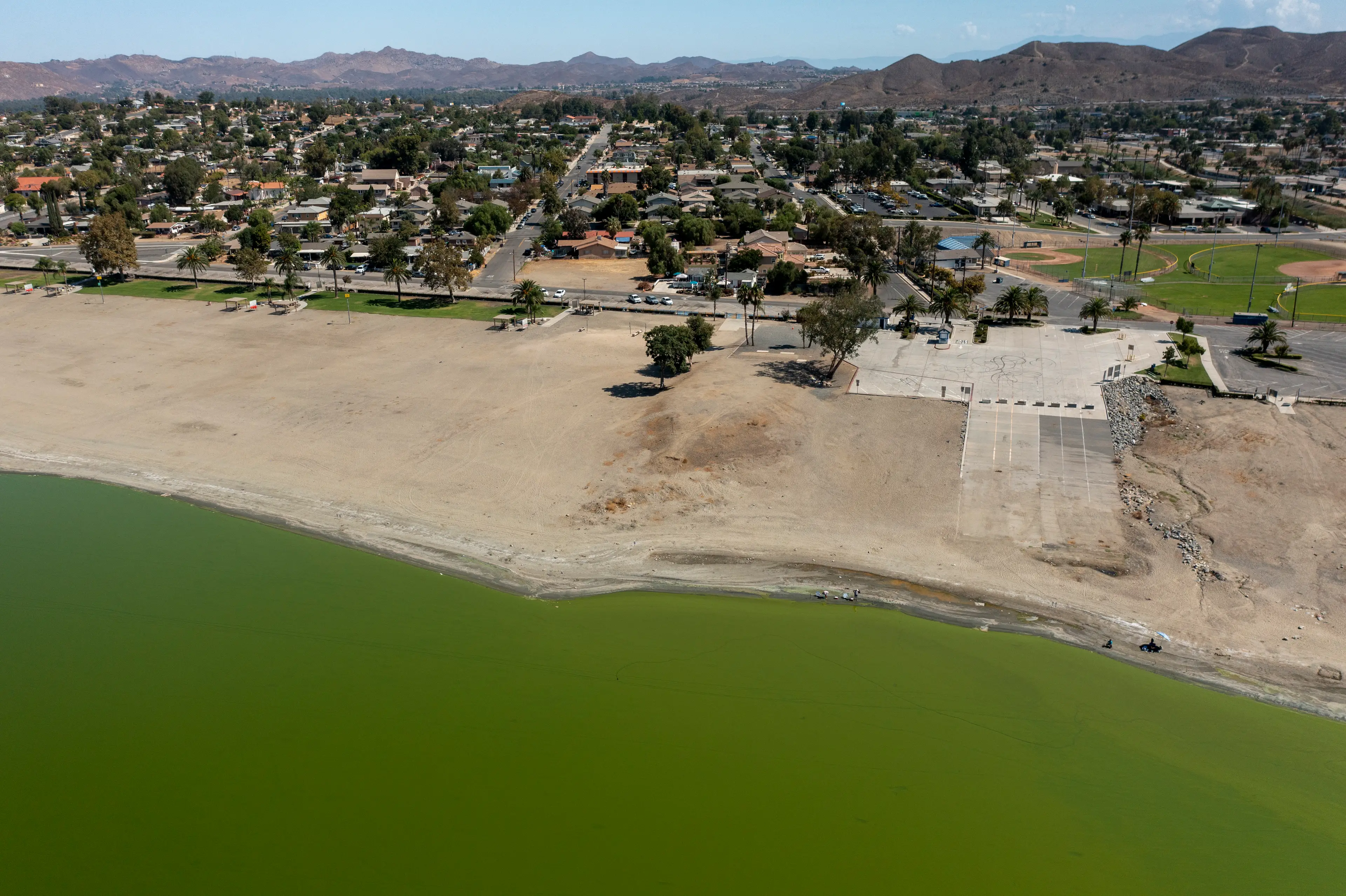 How blue-green algae can look on the shoreline (David McNew/Getty Images)