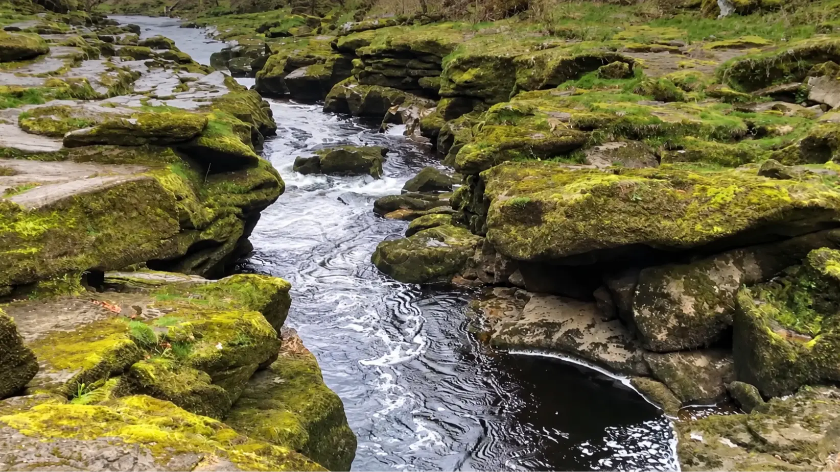 World's most dangerous river with '100% mortality rate' is located in the UK