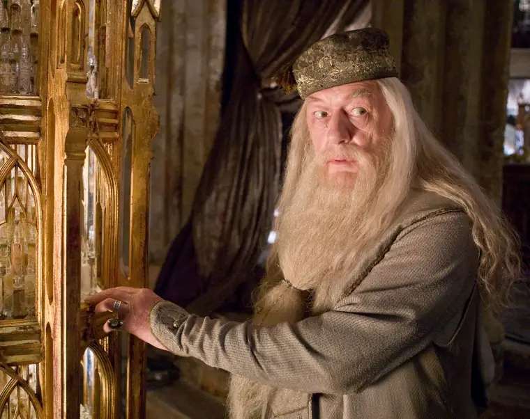 It looks like they've found their Dumbledore. (Warner Bros.)